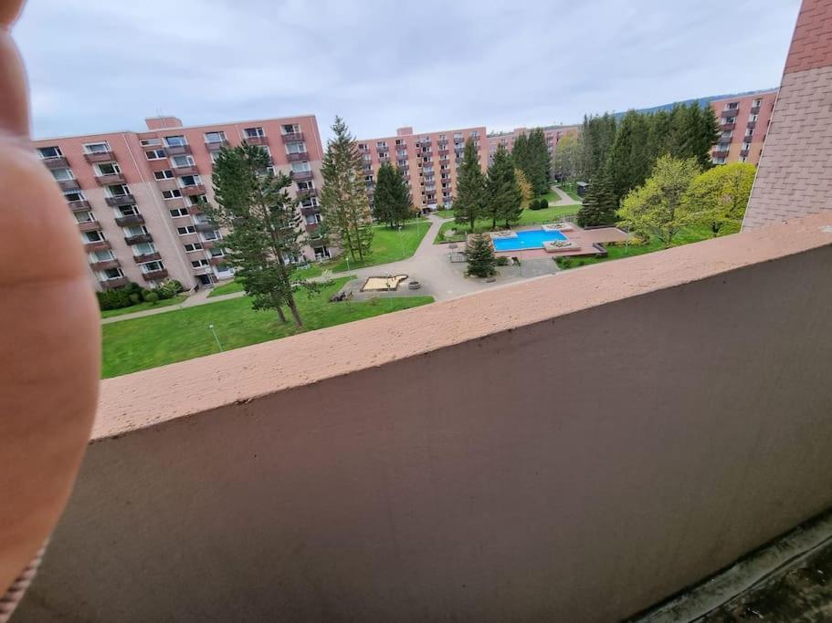 Ferienwohnung Altenau Im Harz, Hunde מראה חיצוני תמונה